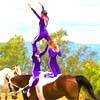 Horse Vaulting