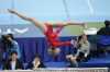 Artistic Gymnastics