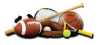 Sport Goods Stores Equipment