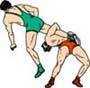 Wrestling Equipment