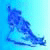Water Skiing