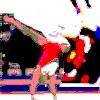 Adult Gymnastics / Masters Programs
