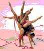 Group Gymnastics Clubs