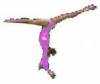 Gymnastics Clubs