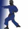 Martial Arts Clubs