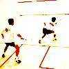 Squash Staff Positions