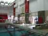 Redbird Diving Club