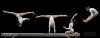 Catalina Ponor beam composite