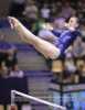 Gymnastics & Cheer