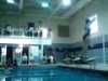 Kristi Dive 7