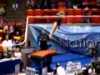 Tiffany Tolnay 2007 NCAA Nationals Prelims Vault