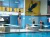 Diving