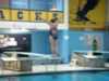 Diving