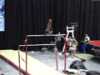 Shantessa Pama 2006 Gymnix International Bars