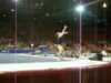 Christa Tanella : 2008 US Classic AA FX