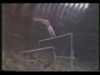 1987 EUROPEAN GYMNASTICS CHAMPIONSHIPS AA &amp;amp; EF'S- PART 3