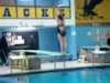 Kristi Dive 1