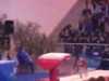 Samantha Shapiro 2008 Jesolo Grand Prix Vault