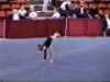 Janae Cox 2000 American Classic Floor