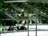 Olga Bicherova 1981 Worlds AA Bars