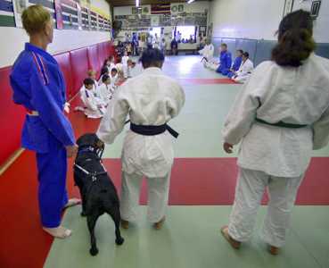 Paralympians practice at Cahill's Judo Academy