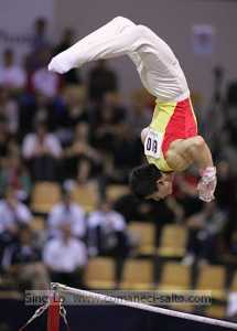 Yibing Chen high bar kovacs - Aarhus Worlds 2006