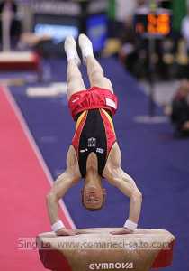 Fabian Hambuechen vault yurchenko entry - Aarhus Worlds 2006 