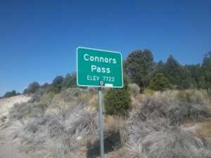Day #65 - Progress Forward & Rattlesnakes