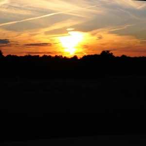 Day 9 - Kabai Brothers Making History 